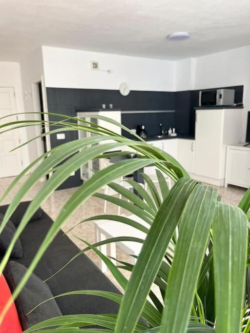 Heyhome Lynn 306 Los Cristianos  Exteriör bild